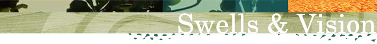 Swells & Vision